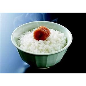 肝肾米饭