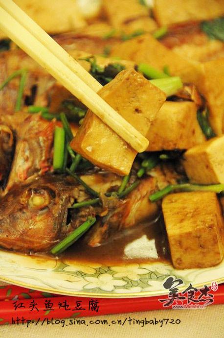 红头鱼炖豆腐